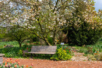 Fruehling im Kreislehrgarten