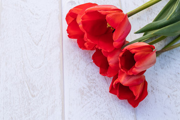 A bouquet of red tulips on the background of white boards. Place for text. The concept of spring has come.