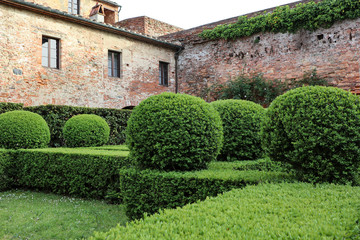 montecarlo lucca