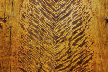 brown rose veneer backdrop