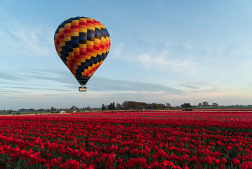 Fototapeta premium hot air balloon