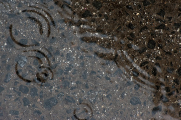 Rain water on the asphalt