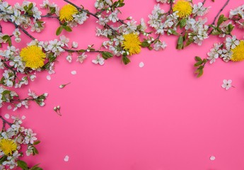 photo of spring white cherry blossom tree on pastel pink background. View from above, flat lay