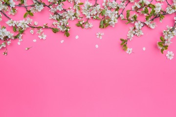 Obraz na płótnie Canvas photo of spring white cherry blossom tree on pastel pink background. View from above, flat lay