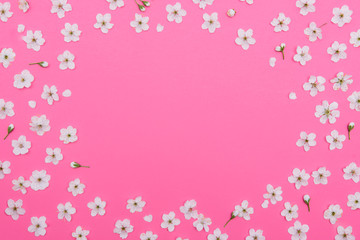 photo of spring white cherry blossom tree on pink background. View from above, flat lay, copy space. Spring and summer background.