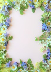 blue flowers frame