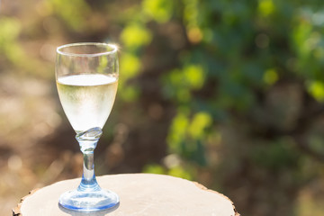 One glass of fresh white wine on a wooden board on a bright sunny day in a vineyard in Salento, Apulia