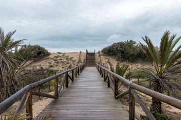Fototapeta na wymiar Wooden footbridge in the dunes of the beach