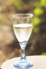 One glass of fresh white wine on a wooden board on a bright sunny day in a vineyard in Salento, Apulia