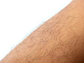 Mans hairy of shin leg texture