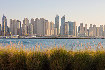 Obraz premium Dubai's buildings tower in architecture