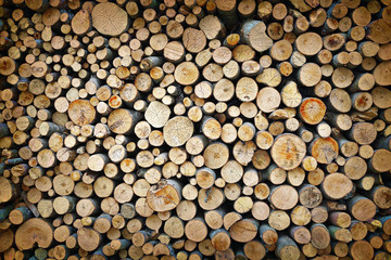 textured pile of beech firewood