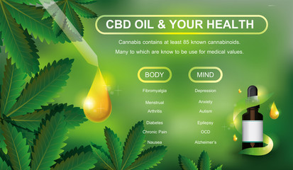 CBD oil and your health active on your body and your mind info graphic