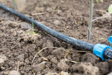 Drip Irrigation System