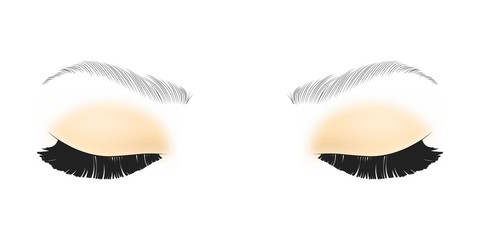 Black False eyelashes. Mascara single decorative element.