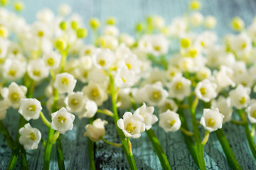 Lily of the valley flowers on cracked blue wood table background