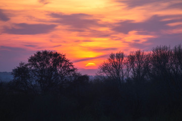 bright orange sunset over the forest