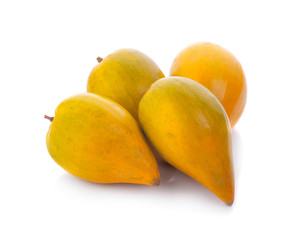 Egg fruit, Canistel, Yellow Sapote (Pouteria campechiana (Kunth) Baehni) on white background