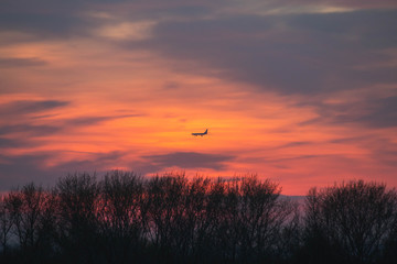 bright orange sunset over the forest