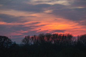 bright orange sunset over the forest