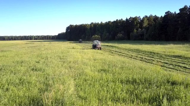 pictorial picture tractor with mower drives to camera cutting off dense green hay grass against trees on hot summer day