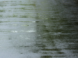 wet asphalt road texture