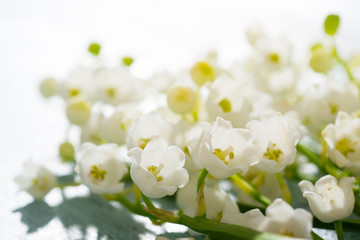 Lily of the valley flowers on cracked blue wood table background