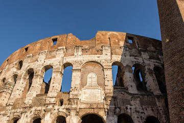 Fototapeta premium Roma