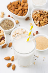 Vegan nut milk and ingredients