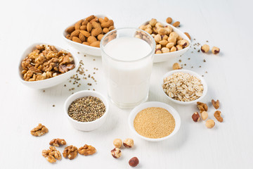Vegan nut milk and ingredients