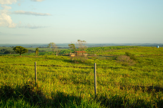 Sitio Em Ouro Verde