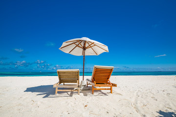 Tropical beach background as summer landscape with lounge chairs and palm trees and calm sea for beach banner. Luxury resort or hotel, summer vacation holiday concept