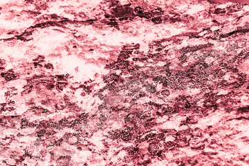 Vintage pink background. Rough painted wall of fiesta color. Imperfect plane of rosy colored. Uneven old decorative toned backdrop of rouge tint. Texture of pink hue. Ornamental stony surface.