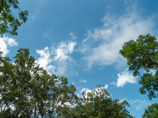 帯広市緑ヶ丘公園