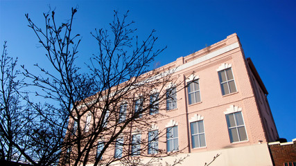 Fototapeta na wymiar A street-level view of a restored three-floor art deco building painted in pink with white accent windows in a suburban downtown with a leafless tree in the foreground and set on a clear blue sky.