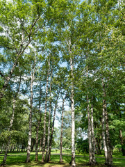 帯広市緑ヶ丘公園