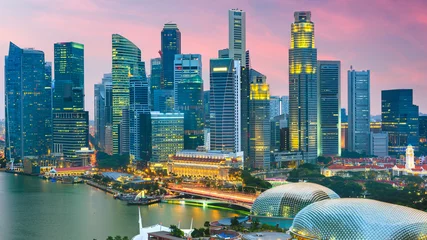 Tuinposter Singapore city skyline at twilight. © SeanPavonePhoto