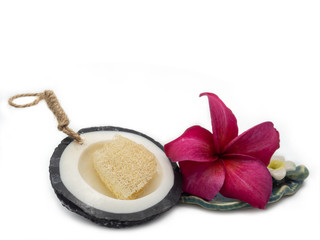 Beauty and fashion with spa.