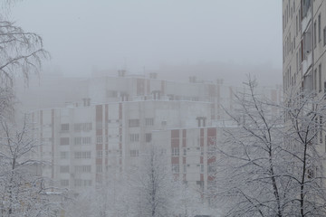 houses in the fog