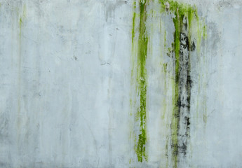 grunge cement wall with moss texture background