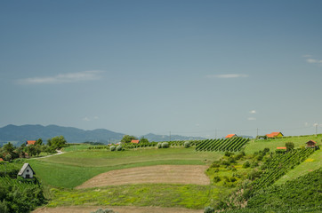 Fototapeta premium Green hills