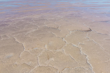 Salt lagoon,Dunaliella salina coloration, La Pampa, Argentina