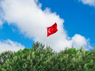 Turkish flag Turkey