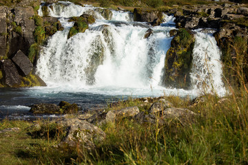 A small waterfall, raging stormy waters, a small part of a huge cascade of Dynjandi waterfalls. Green grass, summer bright sunny day in Iceland. White foam and water flowing over the stones.