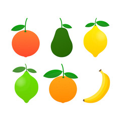 Fresh citrus fruits set. Orange, grapefruit, lemon, lime, banana, avocado. Vector illustration.