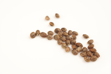 Hemp seeds on white background macro