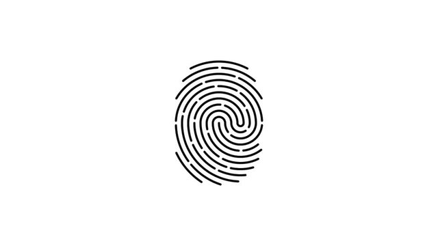 Fingerprint scan icon animation on white background. Futuristic Touch ID technology of mobile security for unlock device