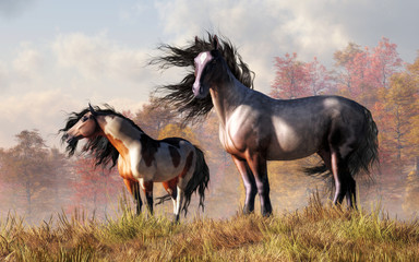 A couple of mustangs stand in tall golden grass on a breezy autumn day.  One horse has a pinto coat the other is a roan.  Both have dark manes and tails that blow in the gentle wind. 3D Rendering