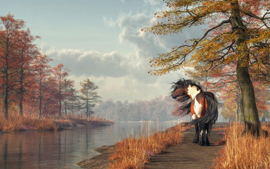 A pinto coated mustang ambles down a dusty road along side a gentle river.  It's autumn and the fall colors of the leaves and grass blend well with the colors of the horse. 3D Rendering - obrazy, fototapety, plakaty