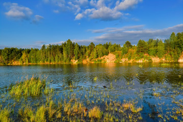 Summer landscape trees reflected in the mirror of the river.